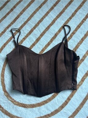 Zara Chocolate Brown Bustier Top
